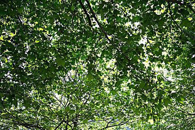 任天堂Switch版《云中庭》确定6月16日上市